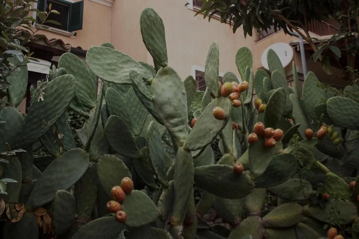Bellissima Vista Mare, Agrustos Budoni San Teodoro